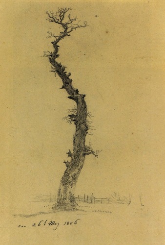 PanPanPandereta's profile picture. 