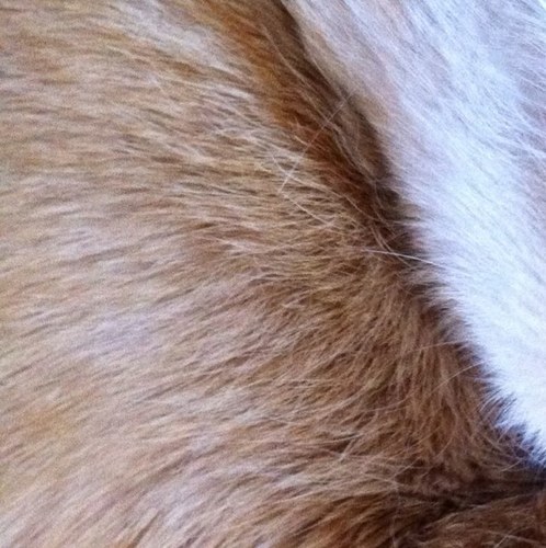 YS_Winter's profile picture. 