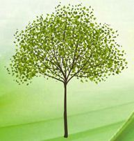 Matildestreecar's profile picture. 