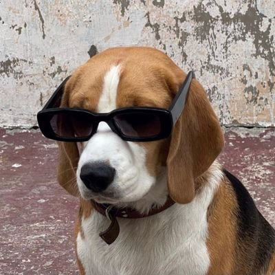 Cheddar_szz3's profile picture. On Earth 🌎