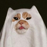 hoonie (@jaehamhamie) 's Twitter Profile Photo