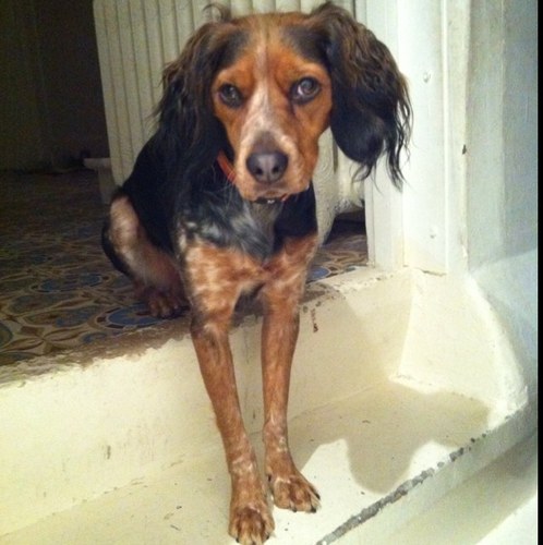 NathRP22's profile picture. 