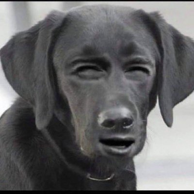 llllll3613194's profile picture. Not a bot