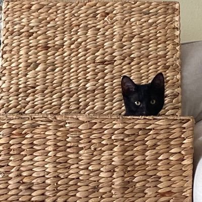 kinkan184506's profile picture. Owner, The Conservative Historical Review. University of Tennessee alumnus. Chess lover. Poet. Tennessean First, American Next. #VolTwitter