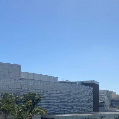 odioatodos21's profile picture. 