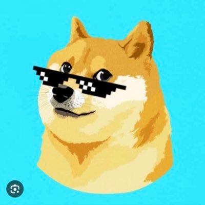 exenstionfn's profile picture. 