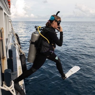 HarryPa47714214's profile picture. 