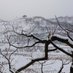 white world (@sesanga111) Twitter profile photo white world (@sesanga111) Twitter profile photo