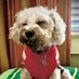 Betsy ๐๐บ๐ธ๐ (@blovessoal) Twitter profile photo Betsy ๐๐บ๐ธ๐ (@blovessoal) Twitter profile photo