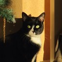 jayne mason - @ambasador_jayne - Twitter