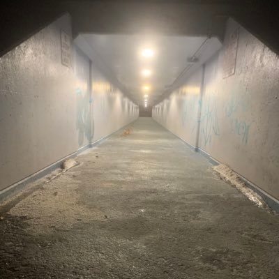 1_urkingkingof's profile picture. aloha