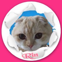 🌟リんまま₍˄·͈༝·͈˄₎ฅ˒˒💙 (@ne_mych_coi916) 's Twitter Profile Photo 🌟リんまま₍˄·͈༝·͈˄₎ฅ˒˒💙 (@ne_mych_coi916) 's Twitter Profile Photo