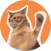CatSlap Support (@catsiaptoken) Twitter profile photo CatSlap Support (@catsiaptoken) Twitter profile photo
