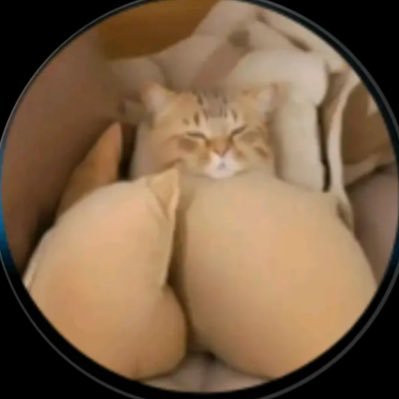 apenasalguem34's profile picture. por que?