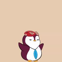 Pmach (@pmachweb3) 's Twitter Profile