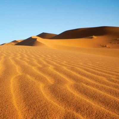 ZaChRaGe2025's profile picture. 