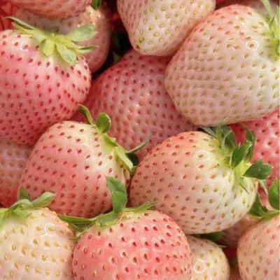 fee1inl0ve's profile picture. 