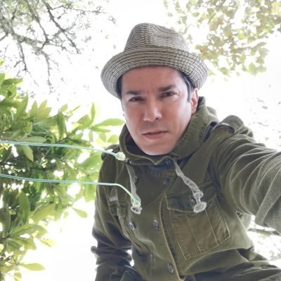 Shazam Humano. Música y Arboles #ArbolesParaRespirar.