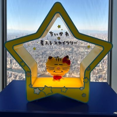 NEWS応援して10周年/マッスー寄りのall/SnowMan/めめ寄りのall/髑髏城の七人season月~下弦の月~/成人済み・看護師