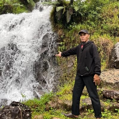 AliWisman's profile picture. 