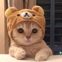 Millssss (@_dark_violence) 's Twitter Profile