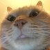 vaece (@vaece_) Twitter profile photo vaece (@vaece_) Twitter profile photo