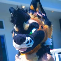 Radar (@radarshep) 's Twitter Profile
