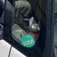 カメキチ (@syuriya7) 's Twitter Profile