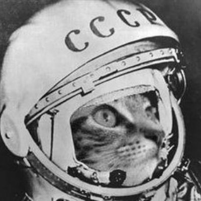 Gigamoon133's profile picture. Forma de vida denominada como Ismael .w.