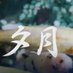 吉原高級ソープ 〜YUZUKI〜 (@tokyo_yu_soap) Twitter profile photo 吉原高級ソープ 〜YUZUKI〜 (@tokyo_yu_soap) Twitter profile photo