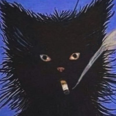 droog24's profile picture. 