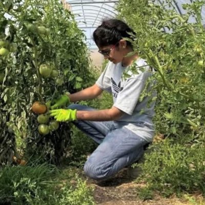 Plant Sci Researcher | ORCID:0009-0007-86333-6320 | Remote Sensing | Global UGRAD 23 | S2S Exchange Program | IREX scholar 🇺🇲 | Cultural Ambassador 🇵🇰