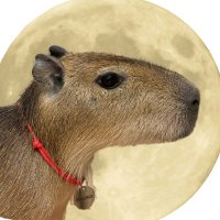 Dr. Magnus (@magnustoken) 's Twitter Profile Photo Dr. Magnus (@magnustoken) 's Twitter Profile Photo