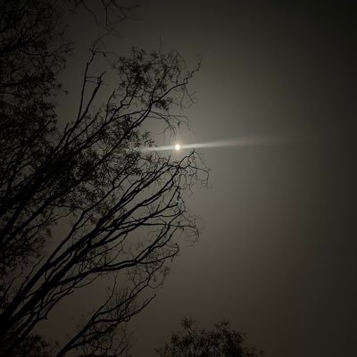 near1095's profile picture.