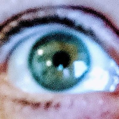 zurikirena49457's profile picture. Christ is King | Modernity Disrespecter | Anti-Globalism + Technocracy | Church Militant Enthusiast | Protestant Dissenter | TRUMP ‘24