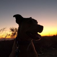 Spud (@devisan387870) 's Twitter Profile