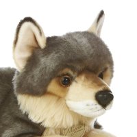 Libs of Furry (@libsoffurry) 's Twitter Profile Photo Libs of Furry (@libsoffurry) 's Twitter Profile Photo