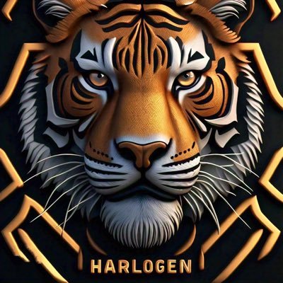 harlogen_jnr's profile picture. Football || Chelsea || Gaming || Web3