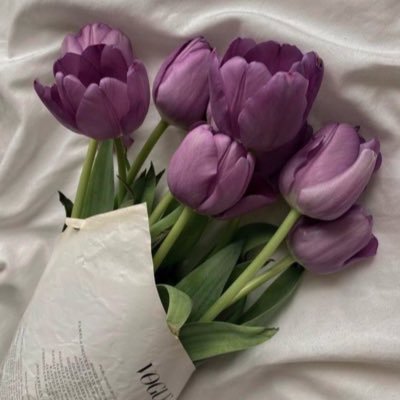 ولنا في قادم الأيام يُسرٌ يَسُرّ بإذن اللّه 💙🕊️