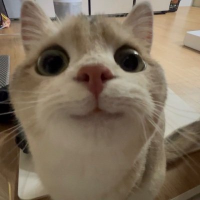 ❤️Dreamcatcher❤️Weeekly❤️Younha❤️Oneus❤️Epex
Trivecta, Culture Code, Blanke 😻😻😻
#LetsGoLiquid
#BoltUp
JAS Gripen lover and aviation enjoyer