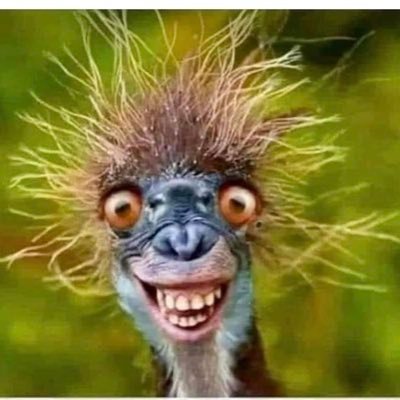 JohnSte10089118's profile picture. Senior clinician. Graduate Faculty of Medicine, Edinburgh University and Royal College of Surgeons, Edinburgh. Fellow Royal Society of Medicine.