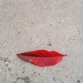 mgutnglied10903's profile picture. Modern, kritisch, vriendelijk.