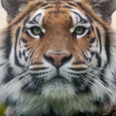 iglesias45222's profile picture. 