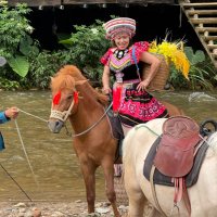 Kiyani H (@hinnaaslam) 's Twitter Profile Photo