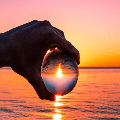 Michel870058's profile picture. 🍊💊