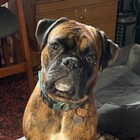 Lord Sean (@hirorinjia733) 's Twitter Profile