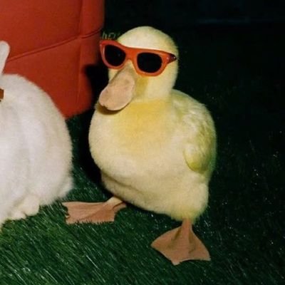 imnataliespring's profile picture. 쉬운 문제를 굳이 어렵게 풀지마라.