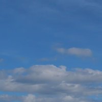 Helmut Haberl (@_helmut_haberl) 's Twitter Profile