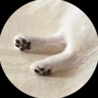もい (@m__o_i93) 's Twitter Profile Photo もい (@m__o_i93) 's Twitter Profile Photo