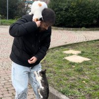 ulaşcube 🌴 (@baknegostercem) 's Twitter Profile Photo